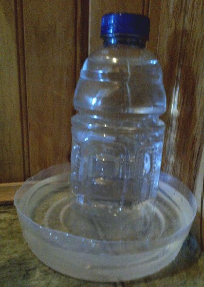 DIY Plastic Bottle Water Dispenser - PetDIYs.com Diy Dog Feeder, Dog Feeder Automatic, Chat Diy, Cat Water Bowl, Diy Plastic Bottle, Diy Cat Toys, Dog Water Bowls, Rat Terrier, Cat Hacks