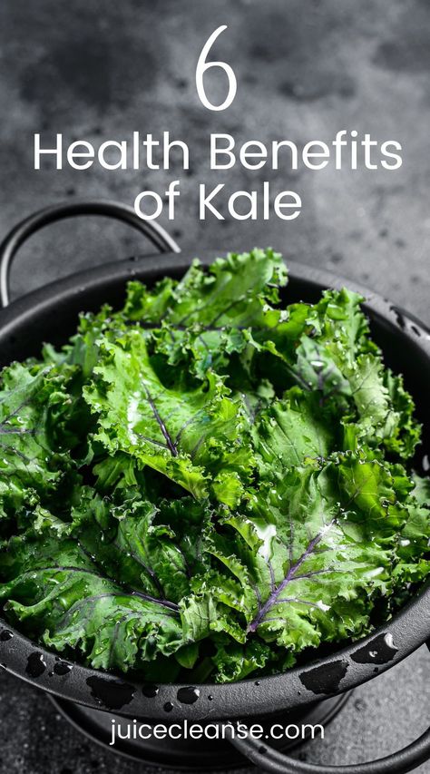 Kale Health Benefits | Health Benefits Of Eating Kale | What Are the Health Benefits of Kale | Health Benefits Of Adding More Kale To Your Diet | kale leaves benefits Benefits Of Kale Smoothies, Benefit Of Kale, Kale Juice Benefits, Kale Nutrition Facts, Health Benefits Of Kale, Kale Benefits, Kale Recipes Healthy, Benefits Of Kale, Pescatarian Lifestyle