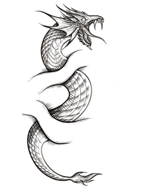 Sea Serpent Tattoo, Serpent Tattoo, Sea Snake, Sea Serpent, Dragon Tattoo Designs, Snake Tattoo, Dragon Tattoo, Animal Tattoos, Tattoo Idea