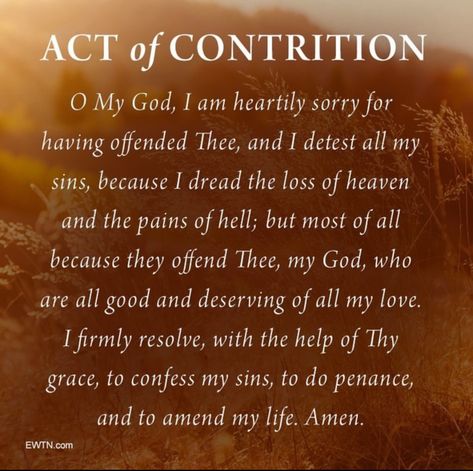 Examination Of Conscience Catholic, Catholic Confession, Act Of Contrition, Confession Prayer, Examination Of Conscience, Eucharistic Adoration, God Prayers, Faith Formation, How To Pray