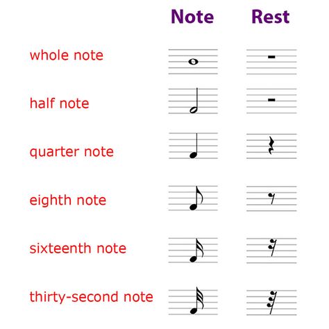 Whole Note, Half Note, Quarter Note, Eighth Note, and corresponding rRest symbols Whole Note Half Note Quarter Note, Music Notes Meaning, Quarter Rest Music Note, Music Note Meanings, Piano Symbols And Meanings, Piano Symbols, Note Symbols, Rest Note, Music Basics