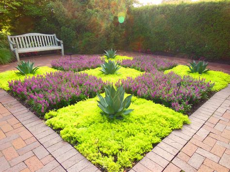 Sedum Garden, Planting Plants, Sedum Plant, Drought Tolerant Landscape, Ground Cover Plants, Plants Garden, Succulent Garden, Front Yard Landscaping Design, Shade Plants