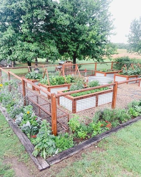 10 Tips for Creating a Successful Vegetable Garden - Nikki's Plate Gravel Raised Bed Garden, Fenced Garden Layout, Fenced In Vegetable Garden, Florida Vegetable Garden, Veggie Garden Fence, Fenced Garden With Raised Beds, Vegetable Garden Border, Enclosed Garden Ideas, Enclosed Vegetable Garden