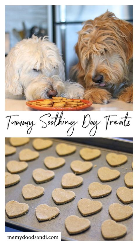 Homemade Dog Treats Sensitive Stomach, Hot Dog Dog Treats, Healthy Home Made Dog Treats, Dog Treats With Banana, Line Tattoo Dog, Pumpkin Banana Dog Treats, Dog Line Tattoo, Long Lasting Dog Treats Homemade, Healthy Homemade Dog Treats