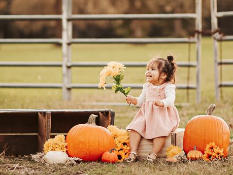 Toddler Autumn Photoshoot, Autumn Toddler Photoshoot, Toddler Girl Fall Photoshooting Ideas, Mom And Daughter Pumpkin Patch Pictures, Fall Sitter Session, Pumpkin Photos, Fall Photoshoot, Fall Photos, Baby Photoshoot