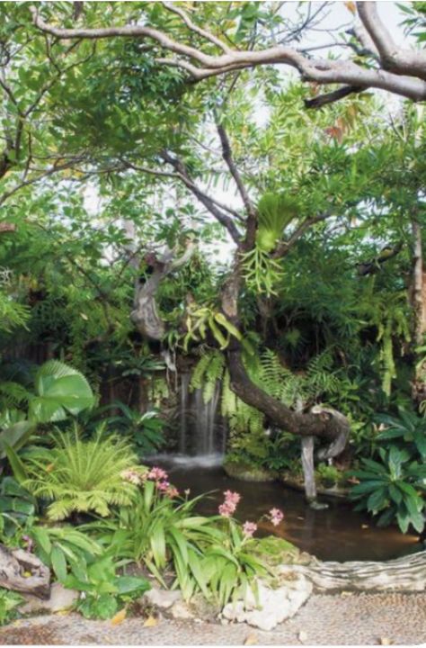 Small Tropical Gardens, Kolam Koi, Taman Air, Tropical Water, Tropical Garden Design, Tropical Backyard, Backyard Water Feature, Water Fall, Pond Design