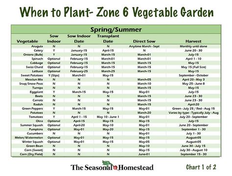 When to Plant Vegetables in Zone 6 - The Seasonal Homestead Zone 6 Planting, Gardening Zone 6, Zone 6 Gardening, Zone 6 Garden, Vegetable Planting Calendar, Garden Canning, Vegetable Planting, When To Plant Vegetables, Plant Vegetables