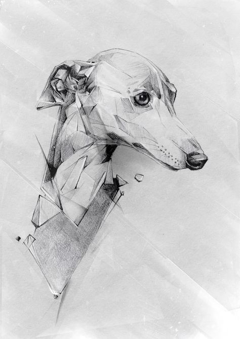 Ideas. Greyhound Tattoo, Animals Inspiration, Animal Art Projects, Animal Illustration Art, Animals Design, Francisco Goya, Figurative Artwork, Embroidered Canvas, Drawing Digital