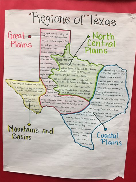 Regions Of Texas Anchor Chart, Texas History Anchor Charts, Texas Regions Map Project, Texas History Classroom Decorations, Texas History 4th Grade, Texas History Projects, Texas Geography, Texas History 7th, Regions Of Texas