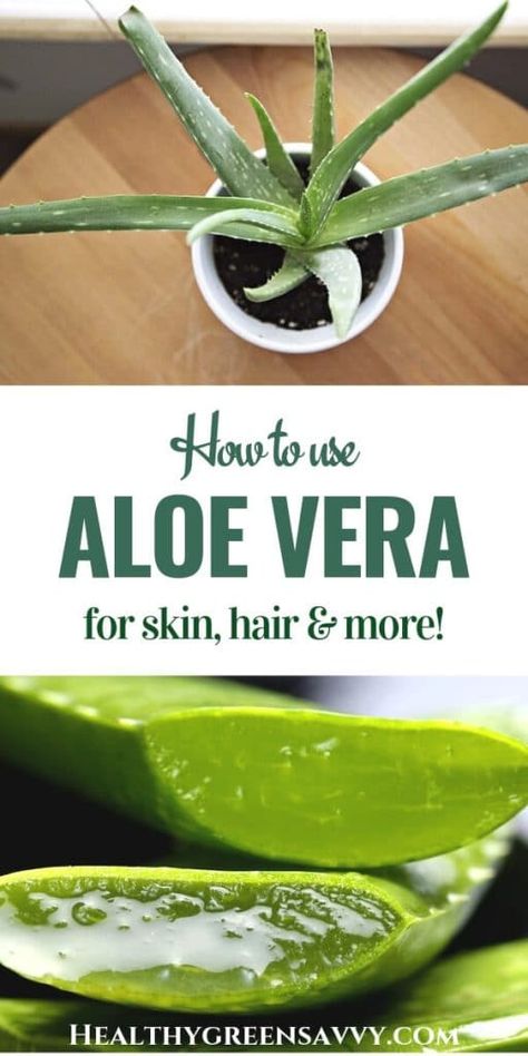 If you're only going to get one houseplant, make it an aloe! This incredible plant cleans your air, heals your sunburn, and much more! Click to find out the amazing uses for aloe vera #aloe #aloevera #naturalremedies #homeremedies #houseplants #naturalhome Uses For Aloe, Aloe Vera For Sunburn, Aloe Vera Uses, Aloe Vera For Skin, Healthy Nutrition Plan, Food For Health, How To Eat Healthy, Aloe Vera Plant, Nutrition Food