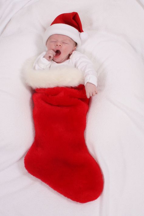 Christmas Photoshoot For Infants, Newborn In Stocking Photo Ideas, Stocking Newborn Pictures, Stocking Baby Pictures, Newborn In Stocking, Baby Stocking Picture, Newborn Stocking Picture, Baby In Stocking Christmas Photo, Diy Newborn Christmas Photos