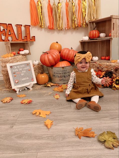 Halloween 10 Month Pictures, Fall Photoshoot Babygirl, Diy Pumpkin Patch Photo Shoot, Fall 1 Year Photoshoot, Baby November Photoshoot, Fall Themed Baby Photoshoot, Fall Theme Baby Photo Shoot, Diy Baby Fall Photoshoot, October Baby Pictures Ideas