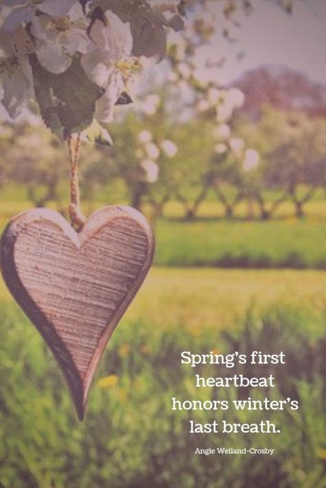 Spring Is Here Quotes, Spring Vibes Quotes, Spring Season Quotes, Spring Quotes Flowers, Spring Inspirational Quotes, Breath Quotes, Springtime Quotes, Flowers To Paint, Quotes Spring