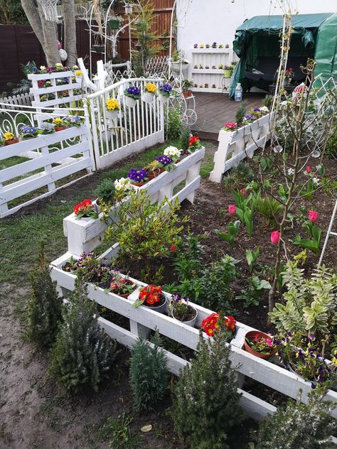 Eyfs Outdoor, Backyard Raised Garden, Eyfs Outdoor Area, Diy Guinea Pig Cage, Privacy Fences, Guinea Pig Cage, Pallet Garden, School Garden, Saving Ideas