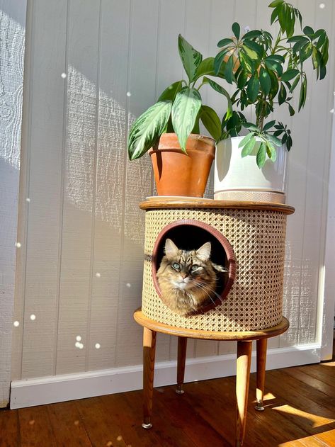 Boho Cane Cat House - Etsy Boho Cat Accessories, Cat House Decor, Cat Organization, Cat Area In Apartment, House Star, Concrete Forms, Welcome Banner, Sign Post, Cat Accessories