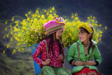 Springtime In Ha Giang Tree Buds, Vietnam Voyage, Valley Of Flowers, Work Permit, Blooming Trees, Photo Competition, Important Documents, West Lake, Sunset Beach