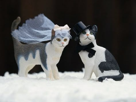 Wedding Cake Topper Cats, Bride and Groom, Animal Lover, Kitties, Top Hat, Veil, Romantic, Unique, Whimsical, Pet Cat In Wedding, Top Hat Cake, Cat Wedding Cake Topper, Cat Cake Topper, Wedding Cake Toppers Unique, Love Cake Topper, Hat Cake, Cat Wedding, Wedding Brooch Bouquets