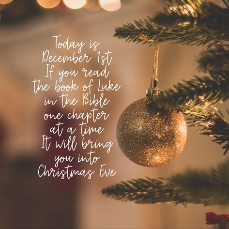 Today is December 1st. If you read the book of Luke in the Bible one chapter at a time, it will bring you into Christmas Eve.🎄🌟✨♥️ … #december1st #bookofluke #bible #truestoryofchristmas #jesus #jesusisking #kingofkings December 1 Bible Verse, December 1st Prayer, Christmas Eve Bible Verse, December 1 Quotes, 1 December Quotes, December Blessings Quotes, December 1st Quotes, December Blessings, Christian Christmas Quotes