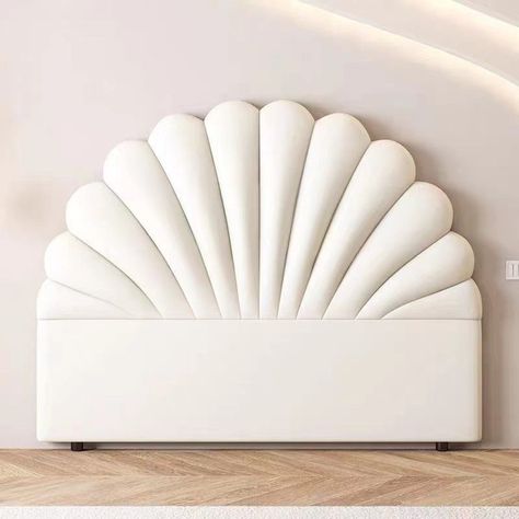 Sea shell decor