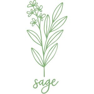 Silhouette Design Store - Search Designs : kitchen Herb Silhouette, Sage Drawing, Herbs Image, Herb Embroidery, Sage Herb, Sage Plant, Unicorn Halloween, Halloween Fonts, Bullet Journaling