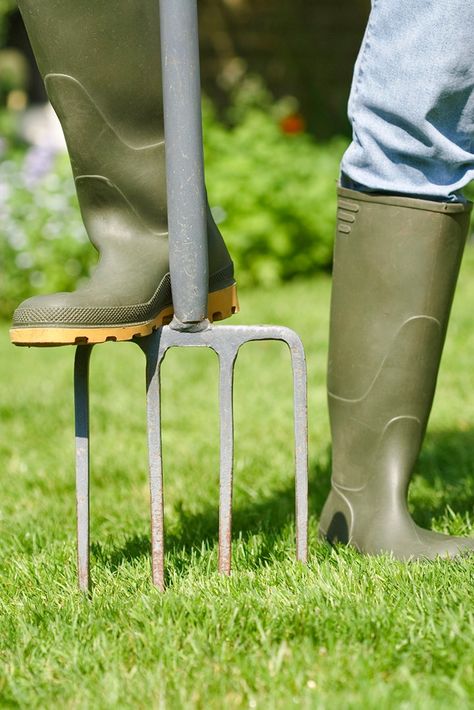 How to aerate a lawn | Better Homes and Gardens Fall Lawn Maintenance, Lawn Maintenance Schedule, Fall Lawn Care, Fall Lawn, Lawn Care Business, Growing Grass, Aerate Lawn, Diy Lawn, Lawn Care Tips