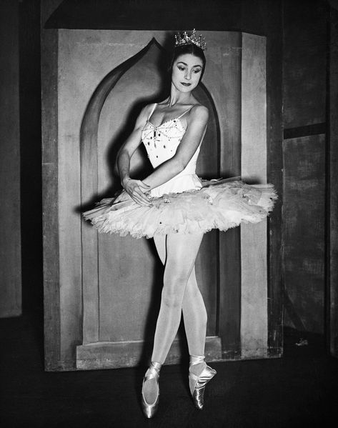 Since the first recognized ballerina, Marie Taglioni, took up the royal court art form in the early 19th century, the ballet body has always been in flux. Ballerina Body, History Of Dance, Ballet Body, Ballet Dance Photography, Multimedia Art, Margot Fonteyn, Usa Pictures, Anna Pavlova, Vintage Ballet