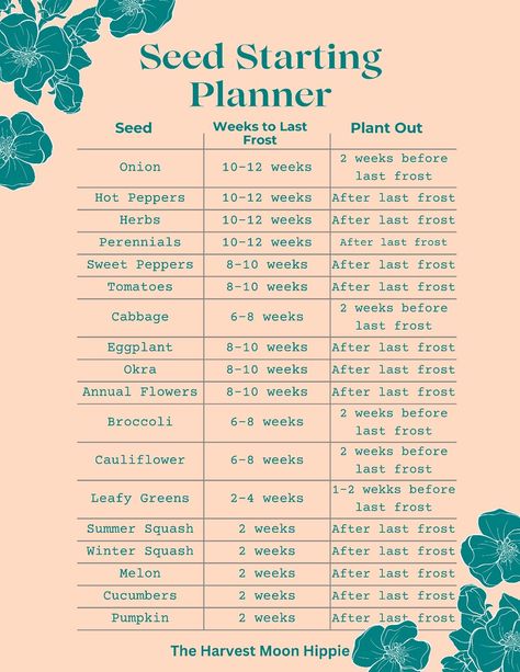 Get your FREE copy of this Seed starting and Direct sowing planner. Approach the garden season with confidence. #HomeDecor #DecorInspiration #HomeInspiration #HomeStyle #DecorTips #InteriorDesign #InteriorInspo #HomeIdeas #HomeDecorating #HouseGoals Starting An Herb Garden Indoors, Starting Veggies From Seeds, When To Start A Raised Garden, Begginer Garden Layout, Seed Starting Tips, Garden Timeline Seed Starting, How To Start Gardening Vegetables, Starting From Seeds Indoors, When To Start Vegetable Seeds Indoors