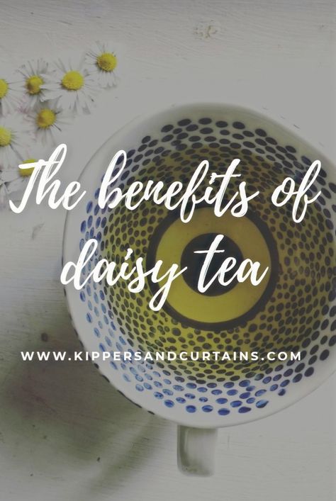 Flower Teas, Wild Tea, Healthy Eating Grocery List, Pregnancy Healthy Eating, Daisy Tea, Tea Blends Recipes, Bath Benefits, Healthy Eating Quotes, Medicinal Tea