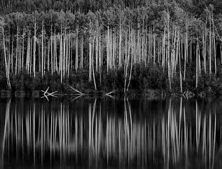 Louis Daguerre, View Finder, Edward Weston, Beautiful Landscape Photography, Black And White Landscape, Richard Avedon, Famous Photographers, Ansel Adams, Great Photographers