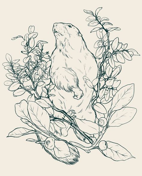 The next stage of the marmot illustration is complete! ⁠ With the line art finished, I can block in the main colours and build up the forms through shadows and highlights. After this, everything really comes together!⁠ ⁠ #vancouverislandmarmot #marmot #botanicalart #wildlifeillustration #animalart #lineart #canadianillustrator #artprocess #natureart #wildlifeart Marmot Illustration, Animal Drawing, Wine Labels, Process Art, Vancouver Island, Wildlife Art, Wine Label, Come Together, Animal Illustration