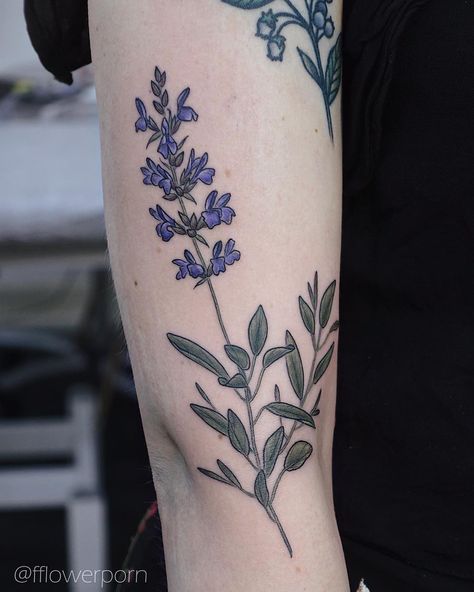 Sage for Margot🌿 done in Madrid #tattoo #tattoos #plants #flowers #botanical #botanicaltattoos #flowertattoos Sage Tattoo Ideas, Olga Nekrasova, Sage Tattoo, Tattoos Plants, Watercolour Tattoo Men, Single Rose Tattoos, Madrid Tattoo, Rose Flower Tattoos, Cross Tattoos For Women