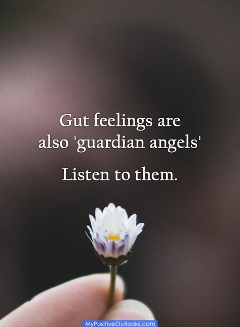 Gut Feelings, Listen To Your Gut, Inspirational Quotes About Success, Gut Feeling, Guardian Angels, Positive Outlook, Word Of The Day, Wise Quotes, Faith Quotes