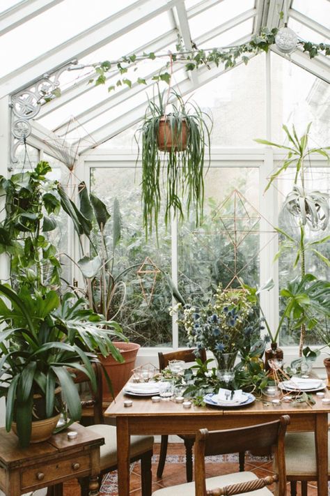 Botanical Interior, Home Flower Arrangements, Plant Display Ideas, Interior Design Plants, Indoor Greenhouse, Instagram Feeds, Nature Inspired Decor, Moon Garden, Interior Plants