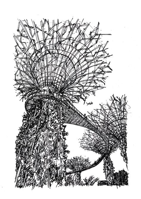 Sketch of the Super Trees in Sinagpore! Mitch Aldrick | Instagram - mitch.a_design | Redbubble - mitchellaldrick | #architecture #drawing #art #sketch #pen #trees #super #Singapore #gardensbythebay Art Sketch Pen, Travel Book Design, Singapore Architecture, Singapore Art, Chinese Crafts, Sketch Pen, Architecture Drawing Art, Gardens By The Bay, Tree Drawing