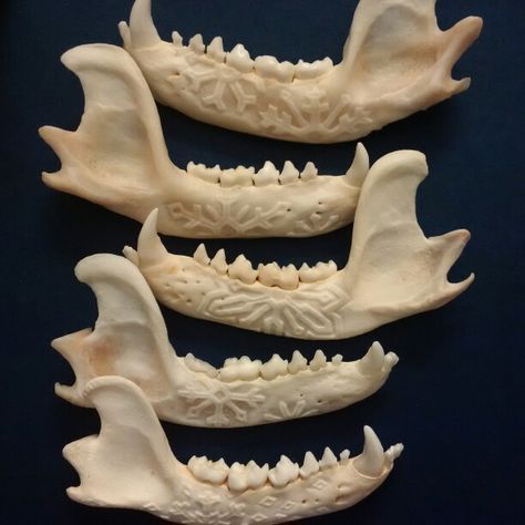 Carved raccoon jaw ornaments by SticksNBonesBoutique on Etsy.. @_sticks.and.bones_ on instagram Bone Crafts, Vulture Culture, Bone Art, Jaw Bone, Carving Designs, Bone Carving, Christmas 2023, Leather Diy, Bones