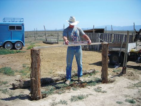 Easy DIY: How to Build a Hitching Post - Grit Homesteading Supplies, Farm Goals, Horse Shelters, Horse Projects, Old Western Movies, Diy Yard Decor, Barn Stalls, Barn Hacks, Diy Porch Swing