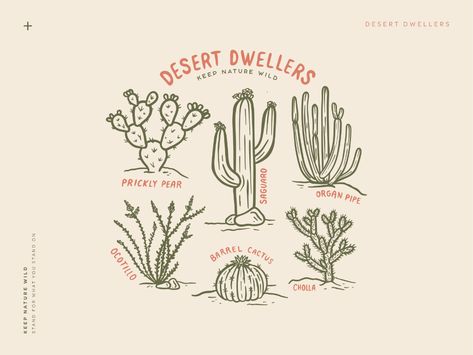 Desert Tattoo, Arizona Tattoo, Mexico Tattoo, Cactus Tattoo, Cactus Drawing, Cactus Illustration, Mutual Respect, The Desert, Creative Inspiration