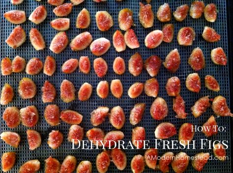 Fig Recipes Healthy, Dehydrated Snacks, Dehydrating Food, Frugal Food, Dehydrated Foods, Preserving Herbs, Growing Fruit Trees, Fig Recipes, Dehydrated Fruit