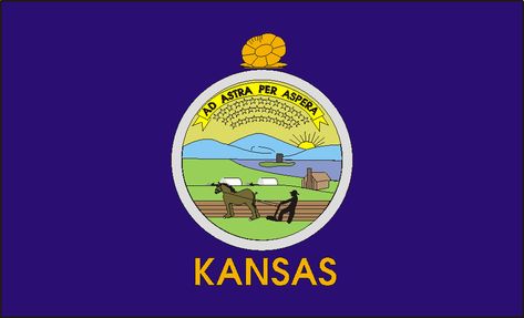 Kansas State Flag Printable Flags, State Project, List Of Presidents, Us States Flags, Flag Printable, Bar Exam, Past Exams, Essay Questions, Usa States