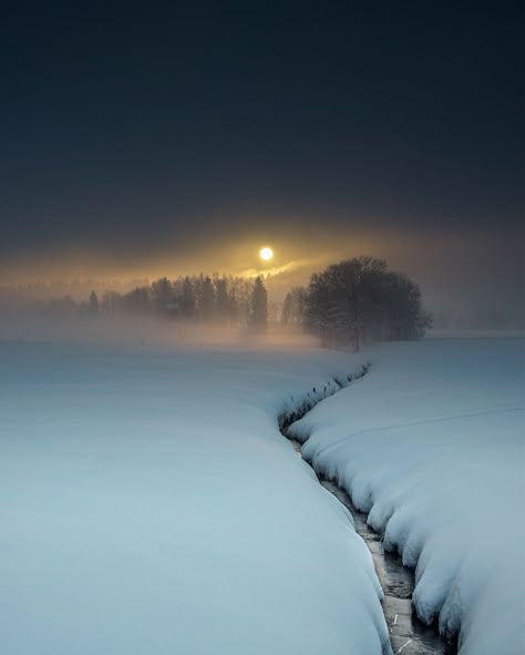 Moon glow Winter Scenery, Winter Beauty, Snow Scenes, Winter Pictures, Winter Wonder, Alam Yang Indah, Winter Landscape, Winter Scenes, Amazing Nature