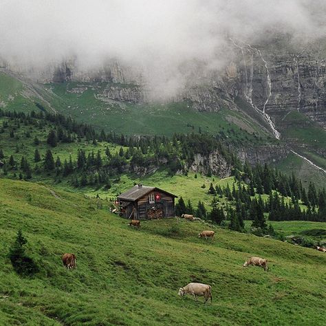 Mountain Hut Rustic Houses, Mountain Hut, Mountains Aesthetic, Mountain Huts, Living Vintage, Tree Houses, Cabins And Cottages, Cabin Fever, Log Cabins