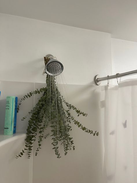 Eucalyptus Shower Head Aesthetic, Shower Eucalyptus, Aesthetic Shower, Plants Aesthetic, Decor Plants, Future Apartment Decor, Ideas Casa, Future Apartment, Fake Plants