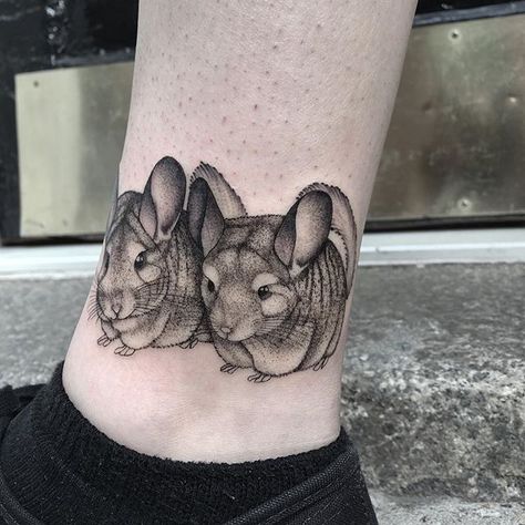 Chinchilla Tattoo, Three Kings Tattoo, Kings Tattoo, Sleeve Ideas, Feather Tattoo, Cute Pets, Three Kings, Feather Tattoos, Henna Tattoo Designs