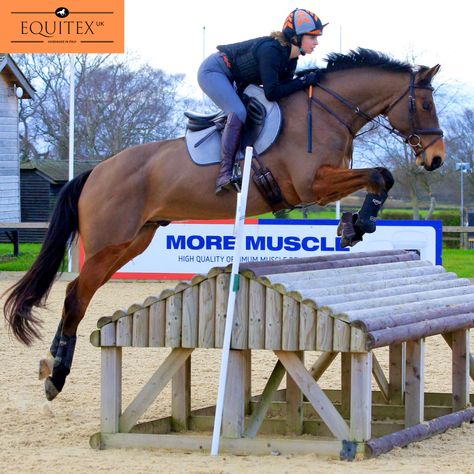 Crosscountry Horse Jumps, Crosscountry Horse, Aesthetic Horse, Cross Country Jumps, Horse Jumps, Horse Arena, Equestrian Aesthetic, Horse Drawing, Horse Jumping