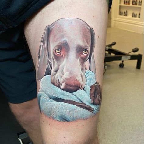 18 Best Weimaraner Tattoo Ideas Weimaraner Tattoo, One Line Tattoo, Weimaraner Dogs, Dog Tattoo, Life Expectancy, Weimaraner, Dog Tattoos, Line Tattoos, Dog Photos