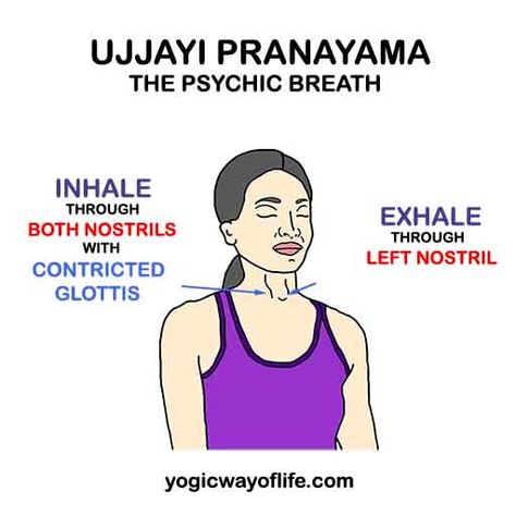 Ujjayi Pranayama - The Psychic Breath Ujjayi Pranayama, Ujjayi Breath, Bhastrika Pranayama, Yoga Pranayama, Sudarshan Kriya, Pranayama Techniques, Yoga Teacher Resources, Pranayama Breathing, Pranayama Yoga