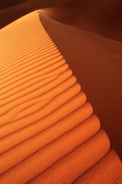 The top of an sand dune in Morocco #morocco #sahara #desert Maroc Désert Expérience tours http://www.marocdesertexperience.com Desert Sahara, Deserts Of The World, Desert Colors, Orange Aesthetic, Orange Crush, Desert Landscaping, In The Desert, Sand Dunes, Happy Colors