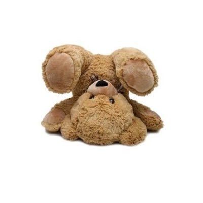 Brown Teddy Bear, Upside Down, App Icon, Plush Toys, Teddy Bear, Toys, White