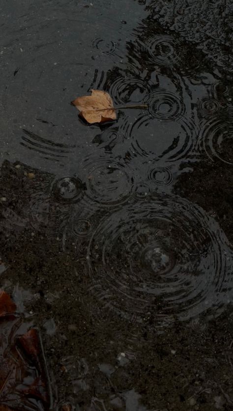 Autumn Rain Aesthetic, Rainy Music, Rainy Days Wallpaper, Dark Rain Aesthetic, Rainy November, Engene Aesthetic, Rain Mood, Rainy Day Images, November Vibes