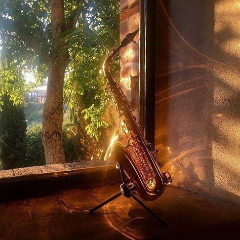 Yanagisawa Sax UK and Ireland on Instagram: “Yes! Beautiful shot of an A991 Alto!  #picoftheday #photooftheday #yanagisawa #yanagisawasax #altosax . . #Repost @theojobstsaxophone” Alto Saxophone Aesthetic, Genasi Dnd, Saxophone Aesthetic, Pretty Instruments, Blasting Music, Air Genasi, Band Aesthetic, Saxophones, Australian Native Flowers